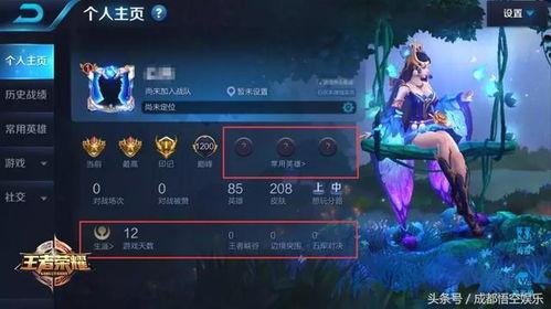 王者ksg最新爆料,王者峡谷神秘英雄KSG即将登场！